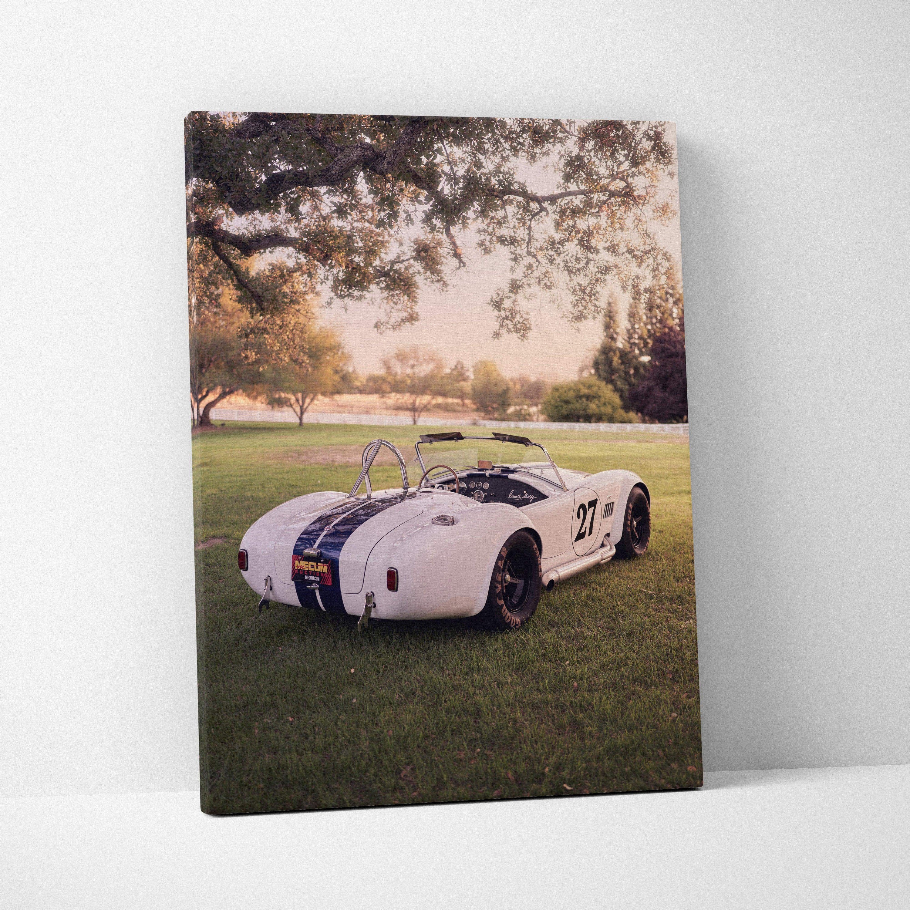 Shelby Cobra classic car printed on vertical canvas art with outdoor park background wall art.