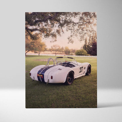 Shelby Cobra vintage race car on grass canvas wall art with scenic outdoor background.