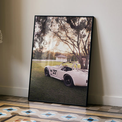 Shelby Cobra #002 poster showing vintage white race car under large trees at sunset, wall art with warm tones.