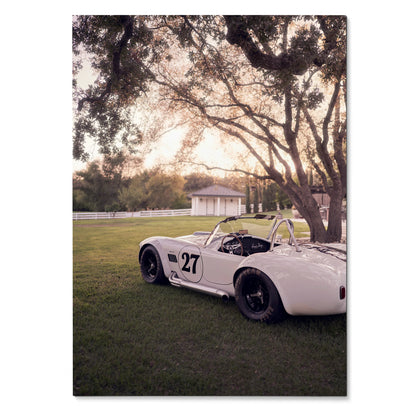 Shelby Cobra race car numbered 27 parked on grass under large trees at sunset poster wall art.