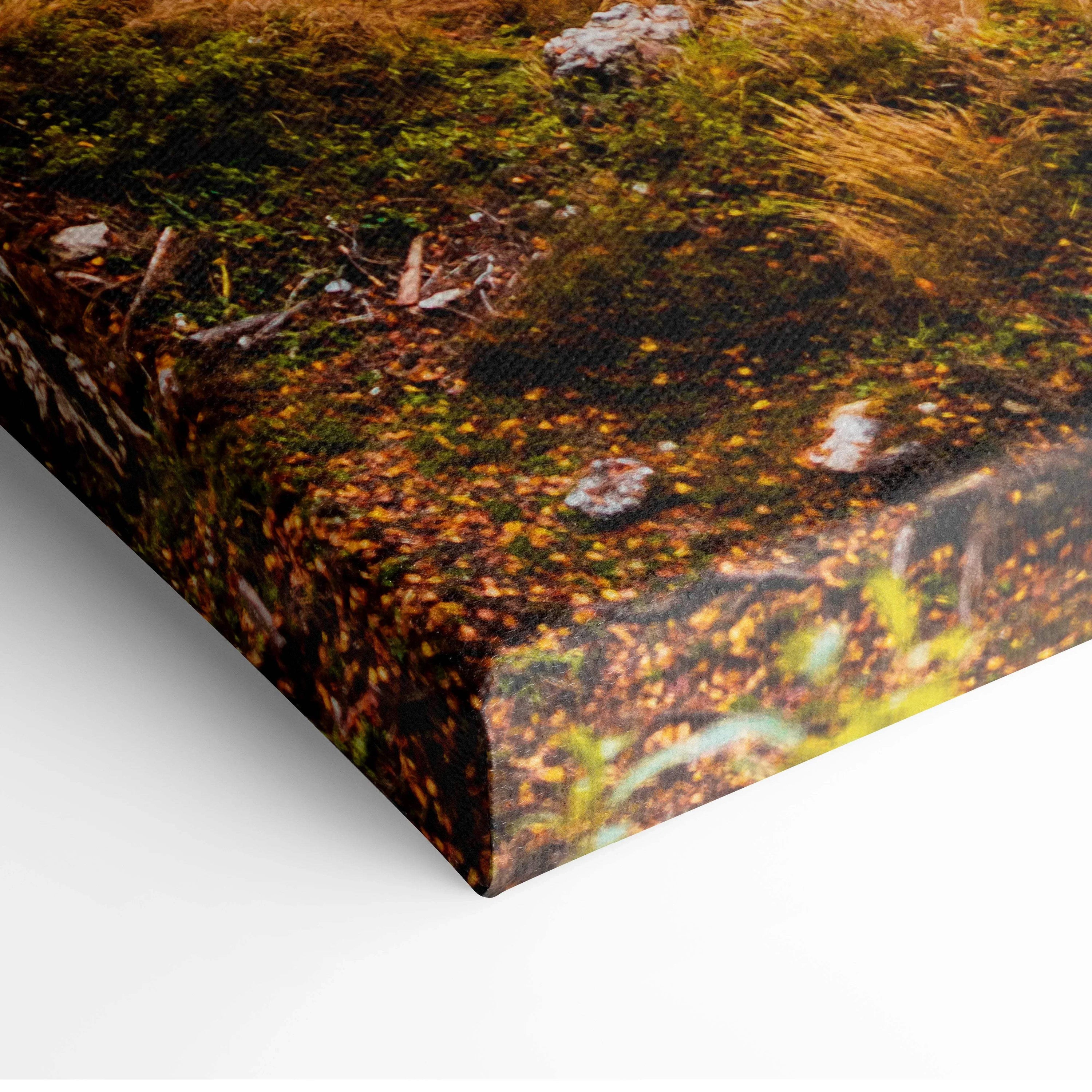 Autumn landscape digital canvas art with vibrant fall foliage, rich orange and green tones, textured edge wall art.