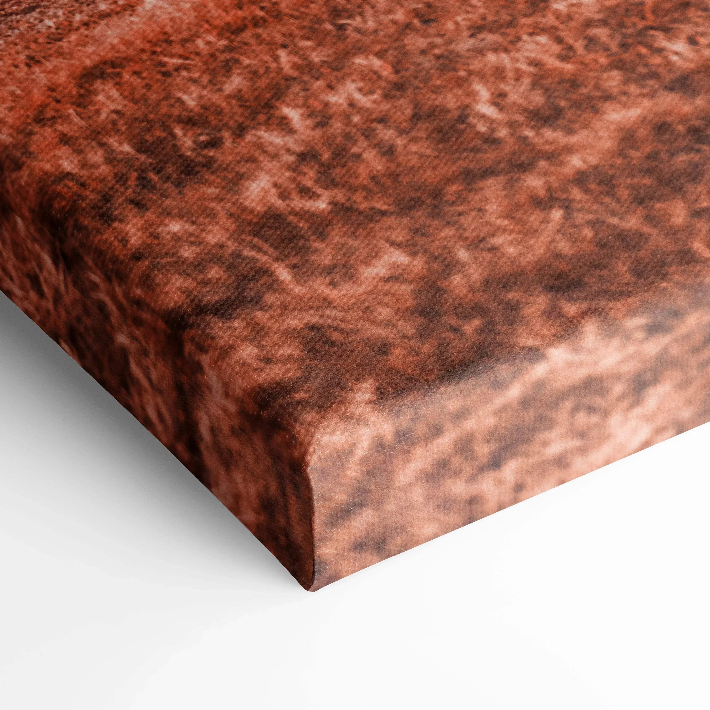 Close-up of textured rust-colored canvas art with rich brown and orange tones, vertical wall art print.
