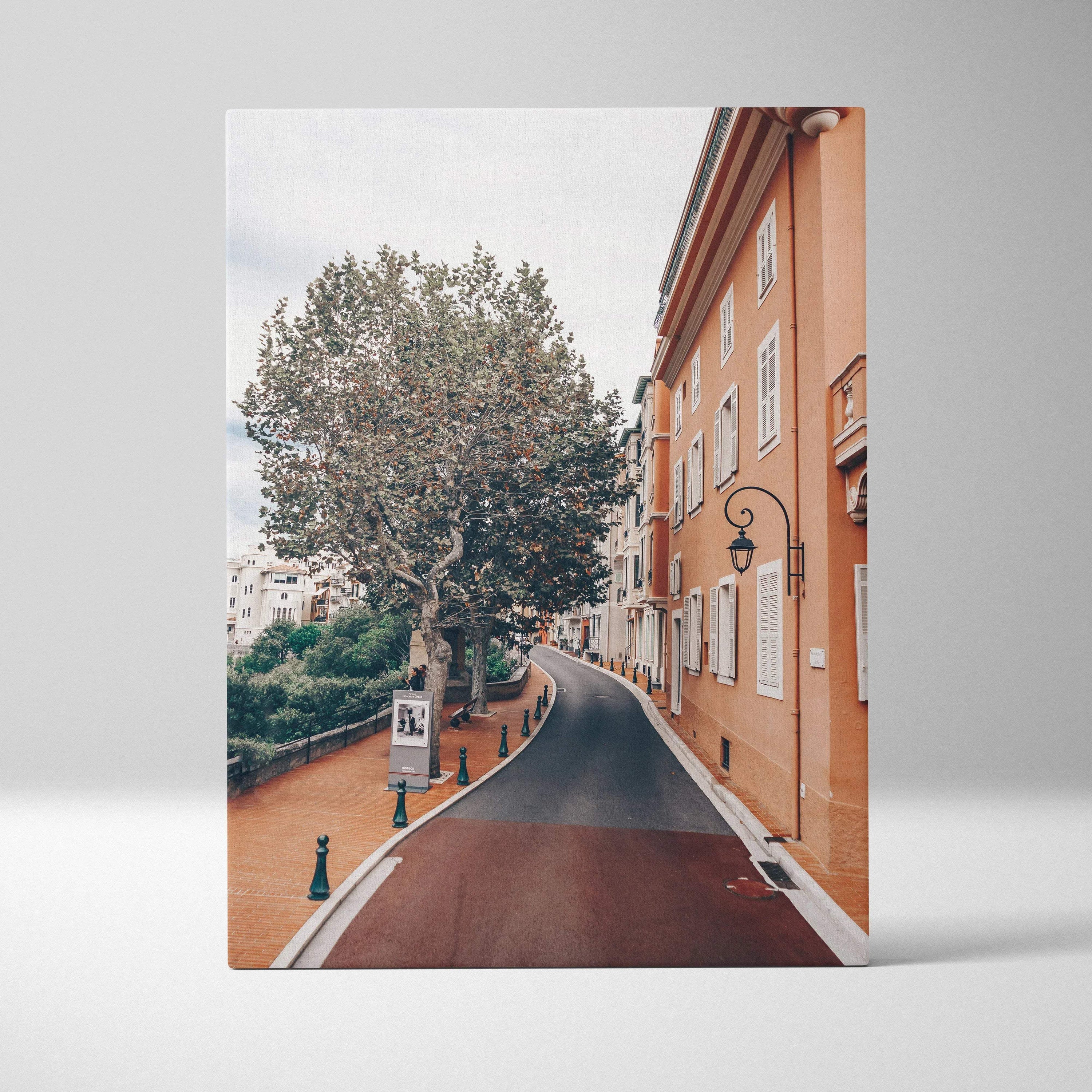 Canvas wall art featuring a curved street with tall trees and historic orange buildings in warm light.
