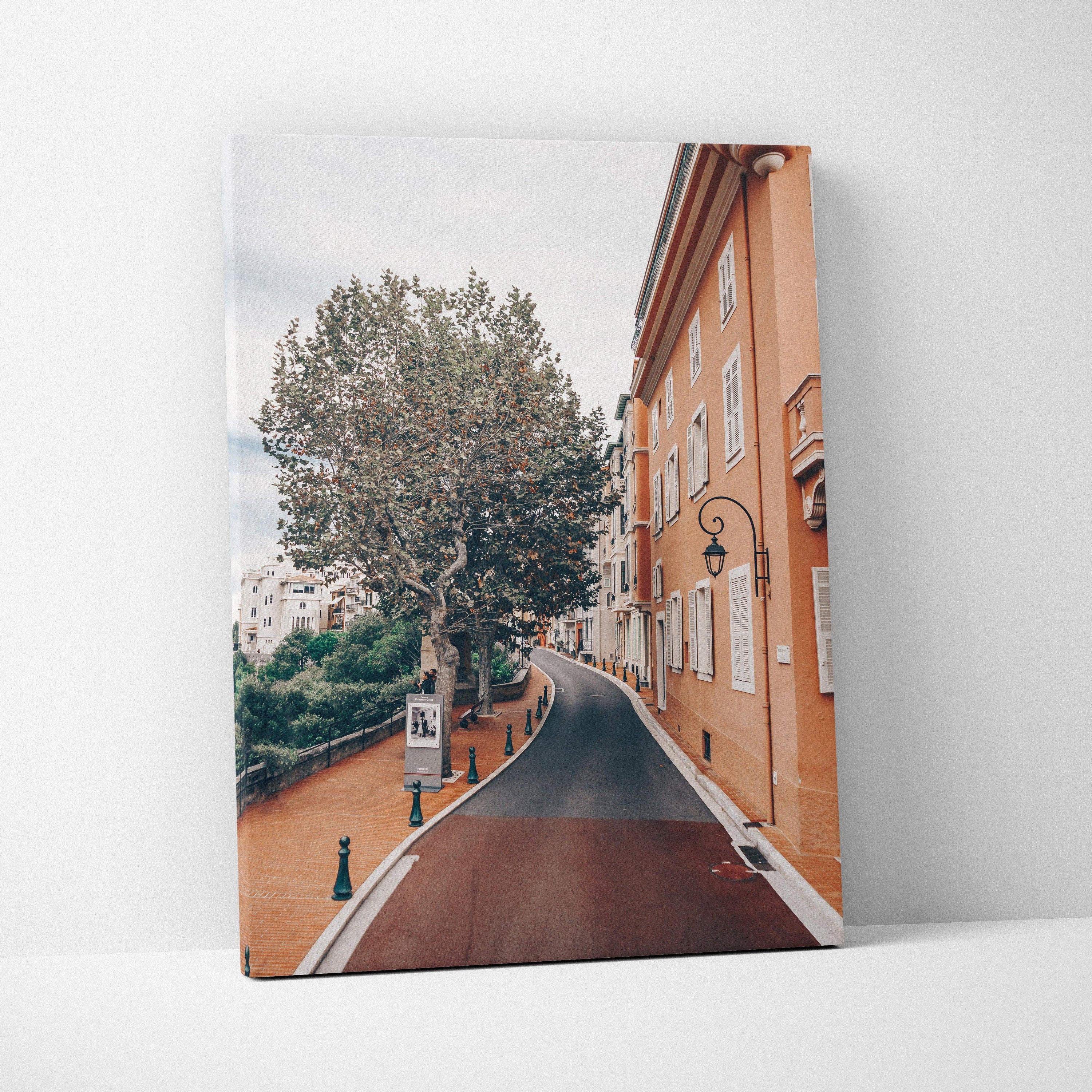 Canvas wall art featuring a serene street with tall tree and classic orange building under cloudy sky.