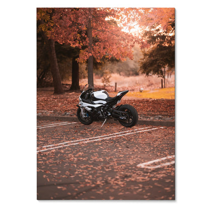BMW S1000RR motorcycle poster in autumn setting with colorful fall leaves, wall art for enthusiasts.