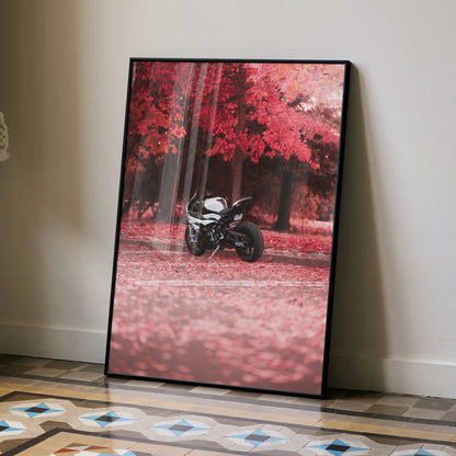 BMW S1000RR motorcycle poster with red autumn forest background wall art in black frame.