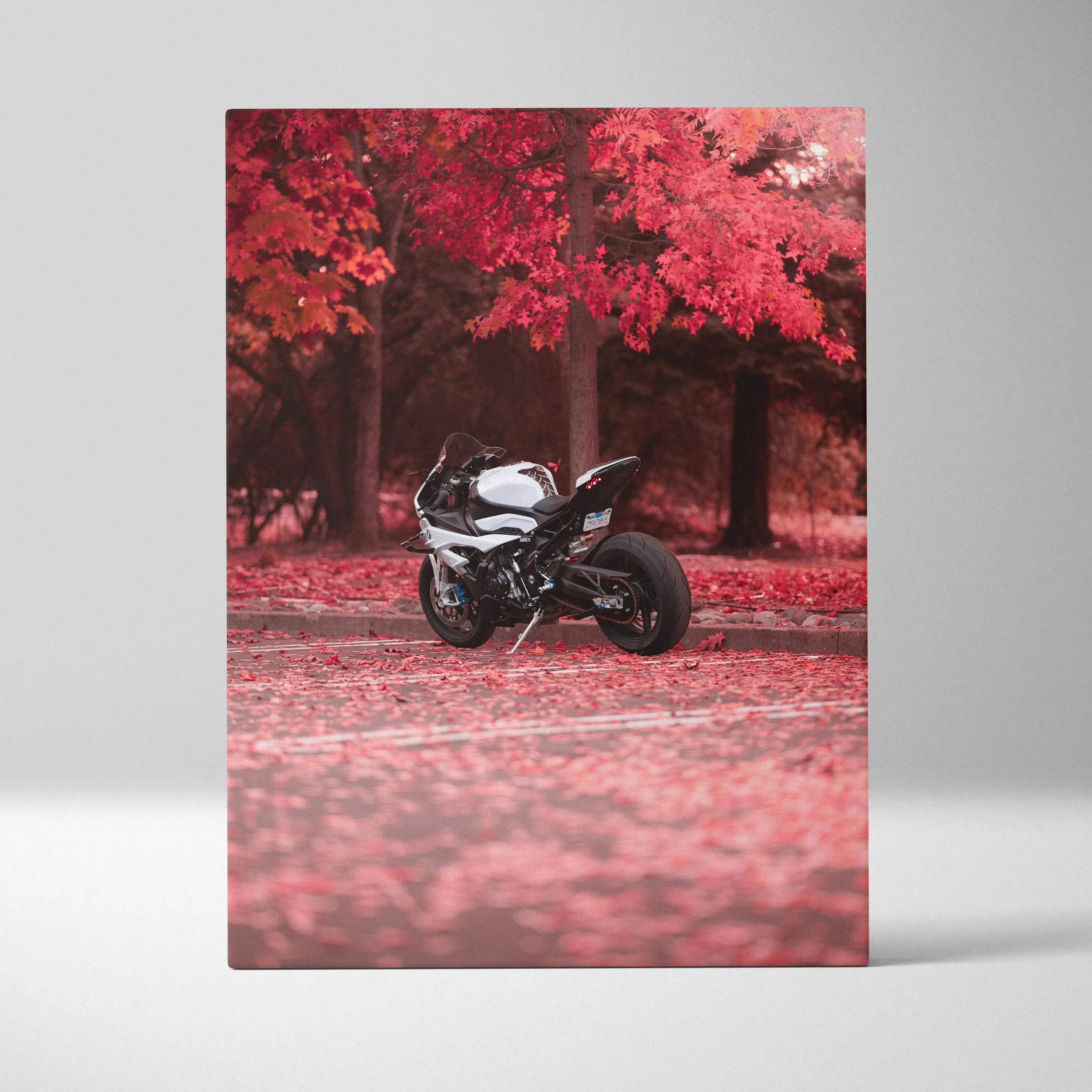 Black BMW S1000RR motorcycle in vibrant red autumn forest canvas wall art.