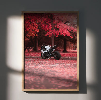 BMW S1000RR motorcycle poster with red autumn trees background, modern wall art for riders.