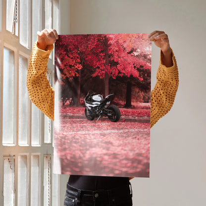 BMW S1000RR motorcycle poster with black bike against vivid red autumn trees wall art.