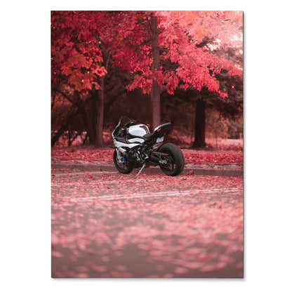 Black BMW S1000RR motorcycle parked under vibrant red autumn trees poster wall art.