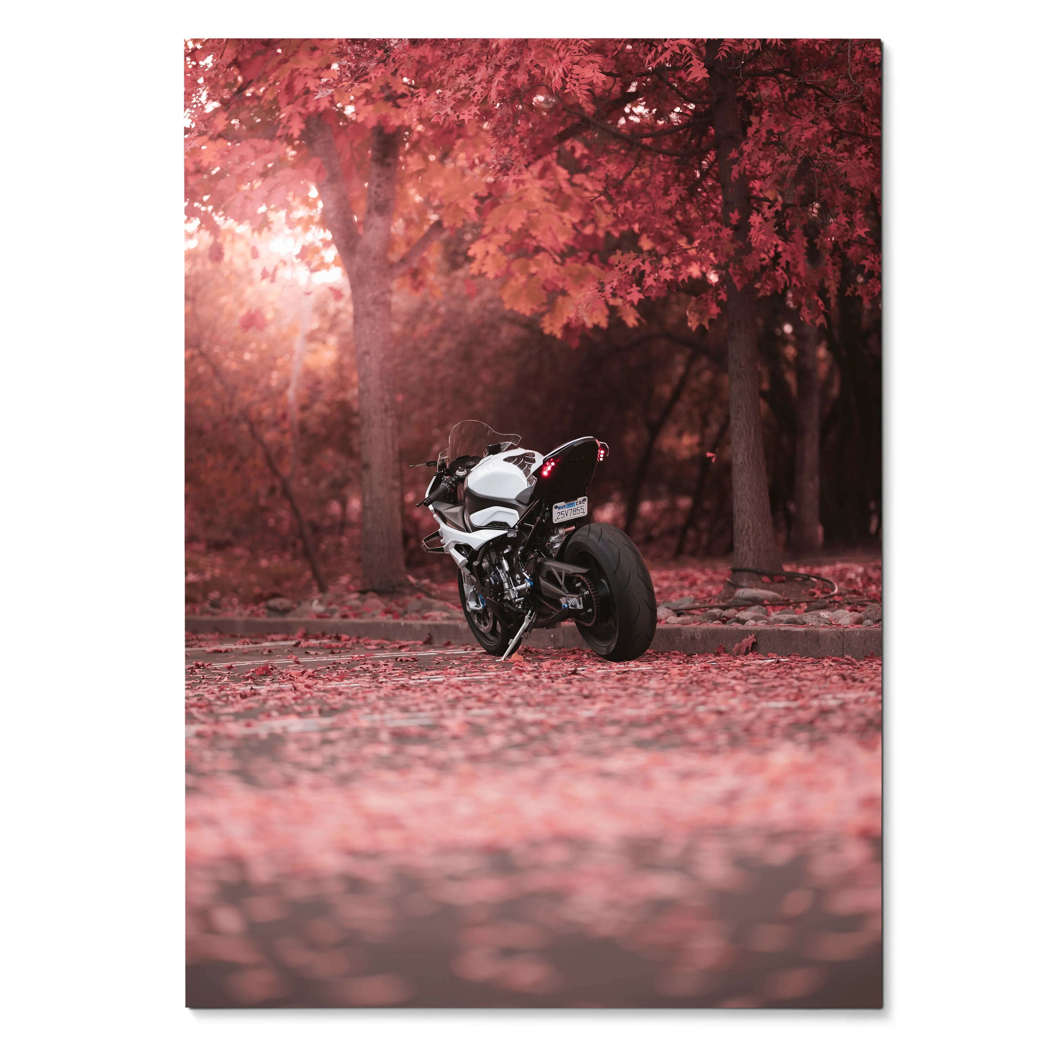 BMW S1000RR motorcycle parked on red autumn leaves vibrant poster wall art.