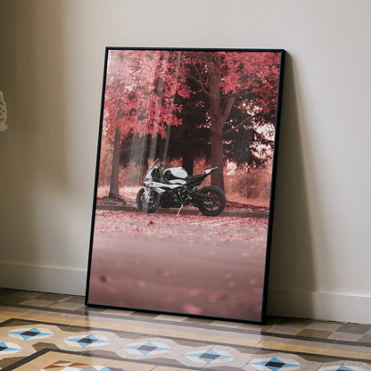 BMW S1000RR motorcycle poster with red autumn forest background, framed wall art leaning on floor.
