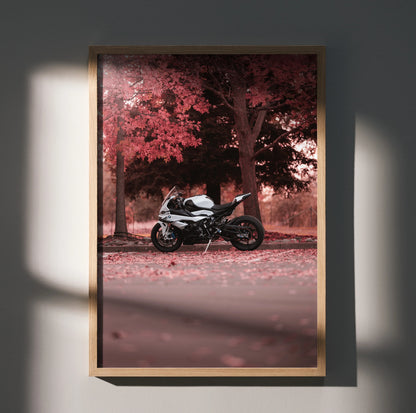 BMW S1000RR motorcycle poster with black and white bike under red autumn trees, vibrant wall art.