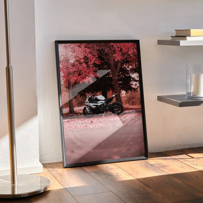 BMW S1000RR motorcycle poster with red autumn trees, framed wall art leaning on floor.