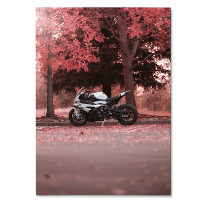BMW S1000RR motorcycle poster with black bike against red autumn trees wall art.