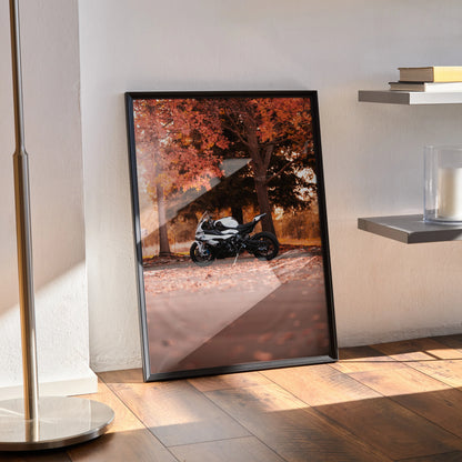 BMW S1000RR motorcycle poster with autumn trees in warm orange tones, framed wall art leaning on floor.