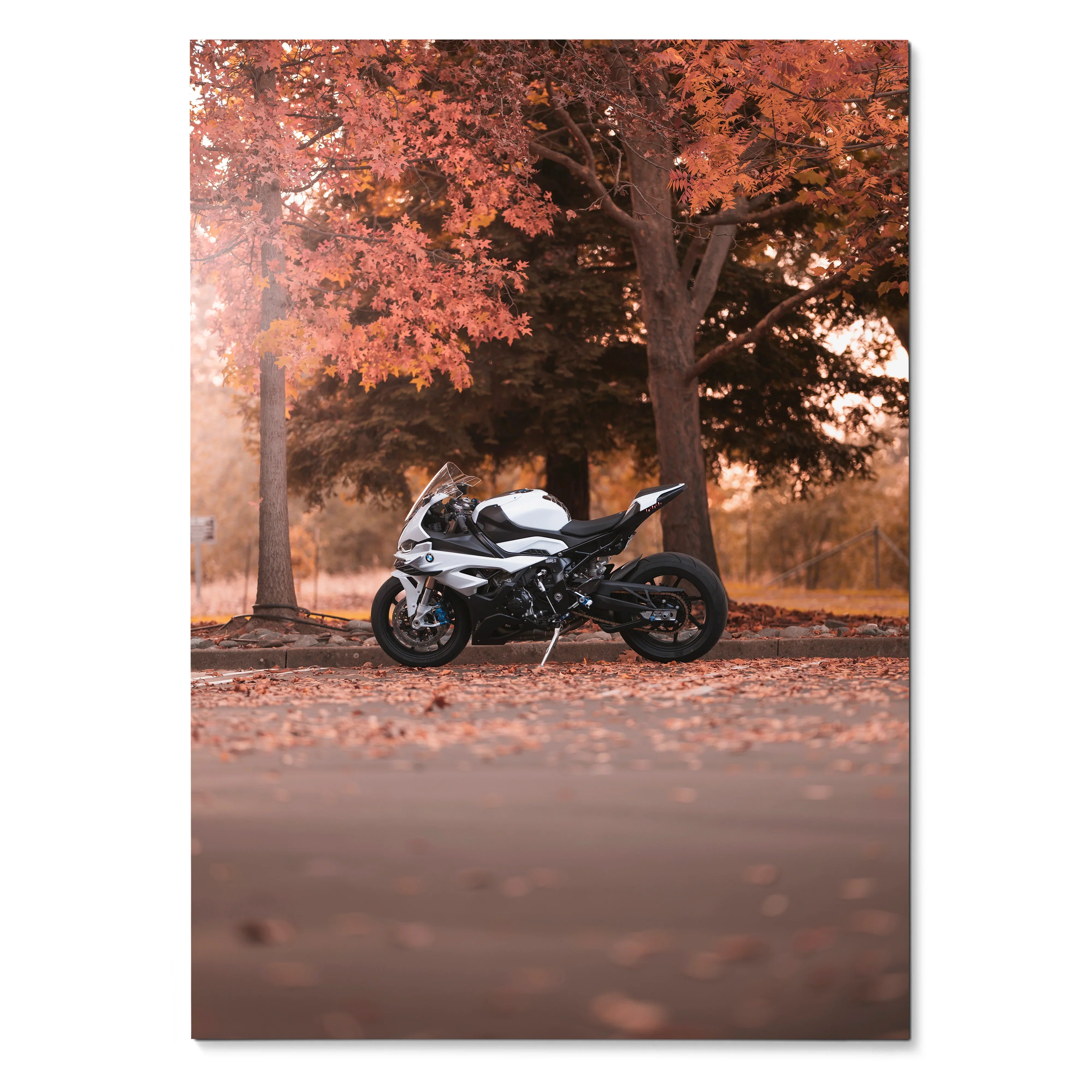 BMW S1000RR motorcycle poster with autumn trees and fallen leaves wall art.