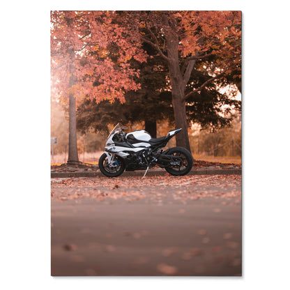 BMW S1000RR motorcycle poster with autumn trees and fallen leaves wall art.