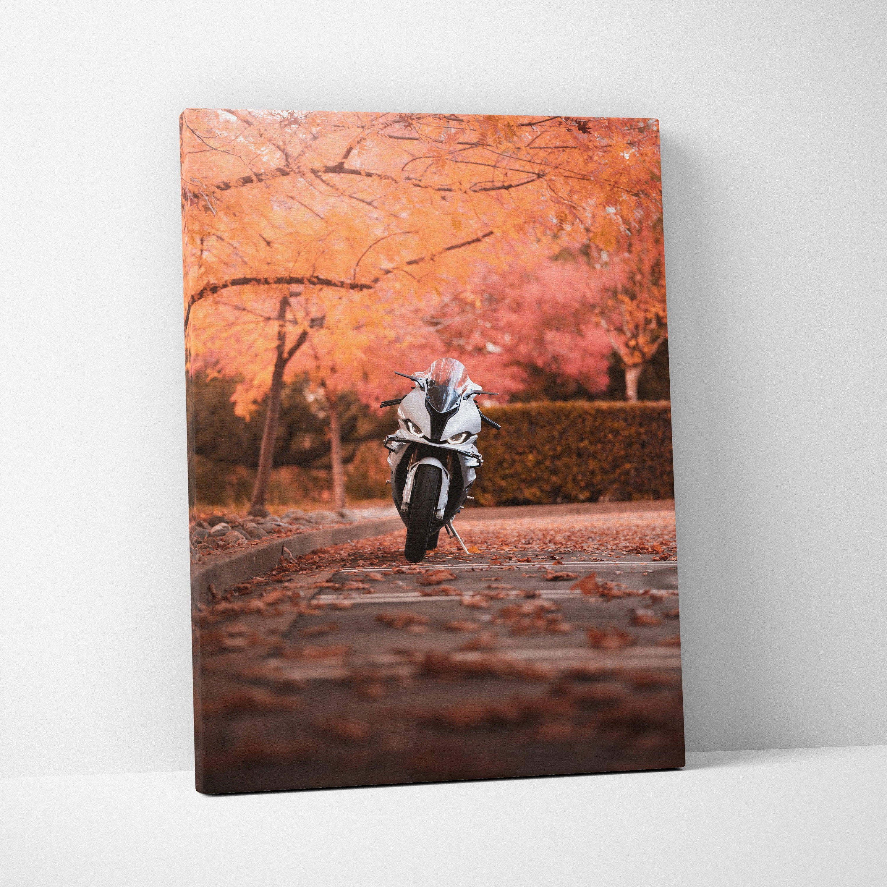BMW S1000RR motorcycle on autumn road canvas wall art with vibrant orange leaves.