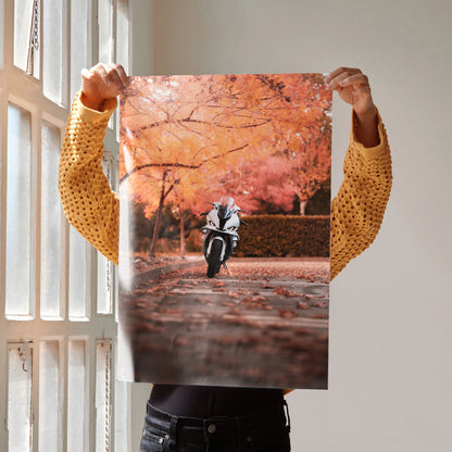 Poster wall art featuring a BMW S1000RR motorcycle on a road surrounded by autumn orange foliage.