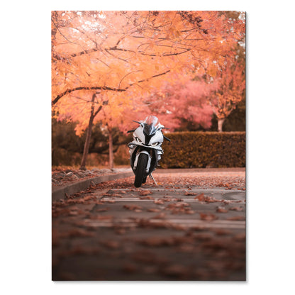 BMW S1000RR motorcycle poster with autumn leaves and orange foliage wall art.