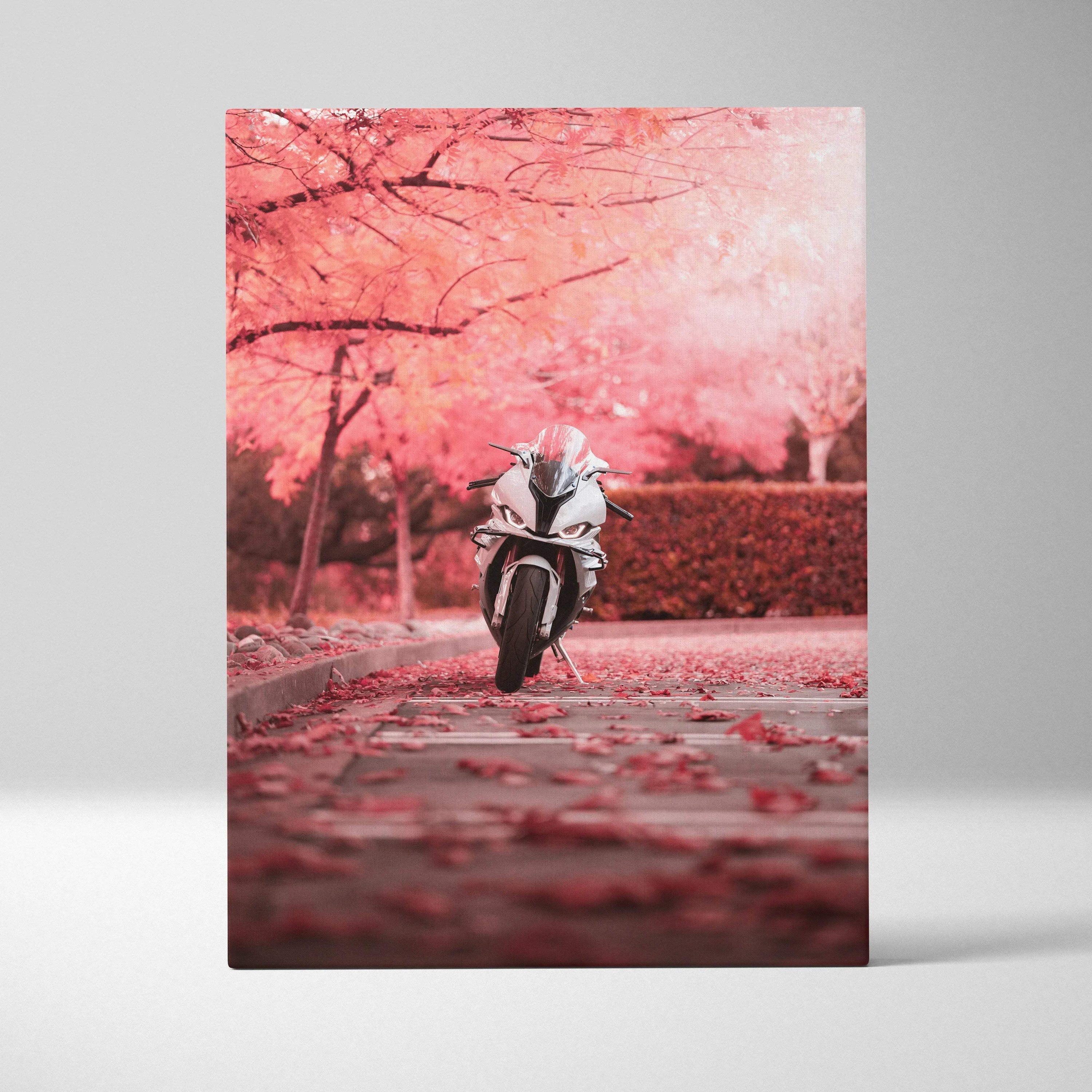 Vertical canvas art of a BMW S1000RR motorcycle parked on a cherry blossom-lined path with pink petals scattered on the.