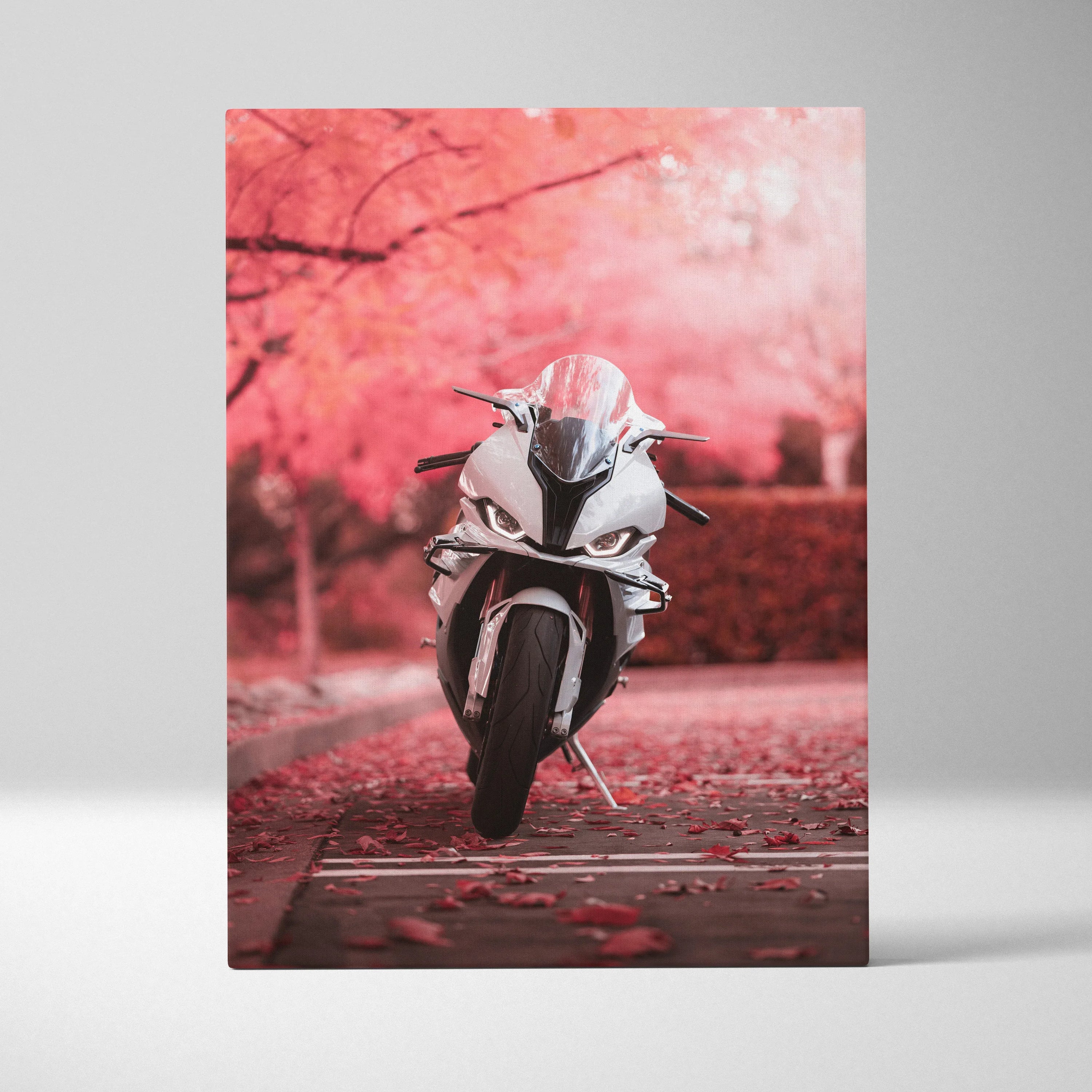 Vertical canvas art of a white BMW S1000RR motorcycle on a path with pink autumn trees wall art.