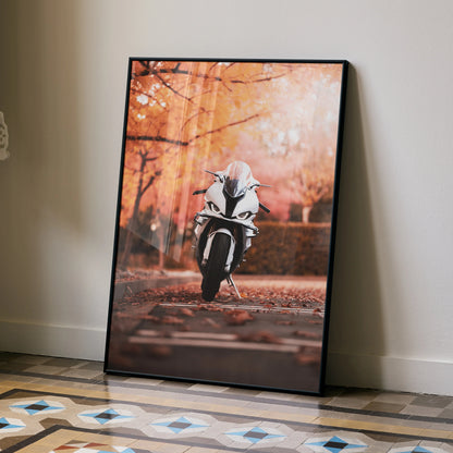 BMW S1000RR motorcycle poster with autumn background wall art in black frame.