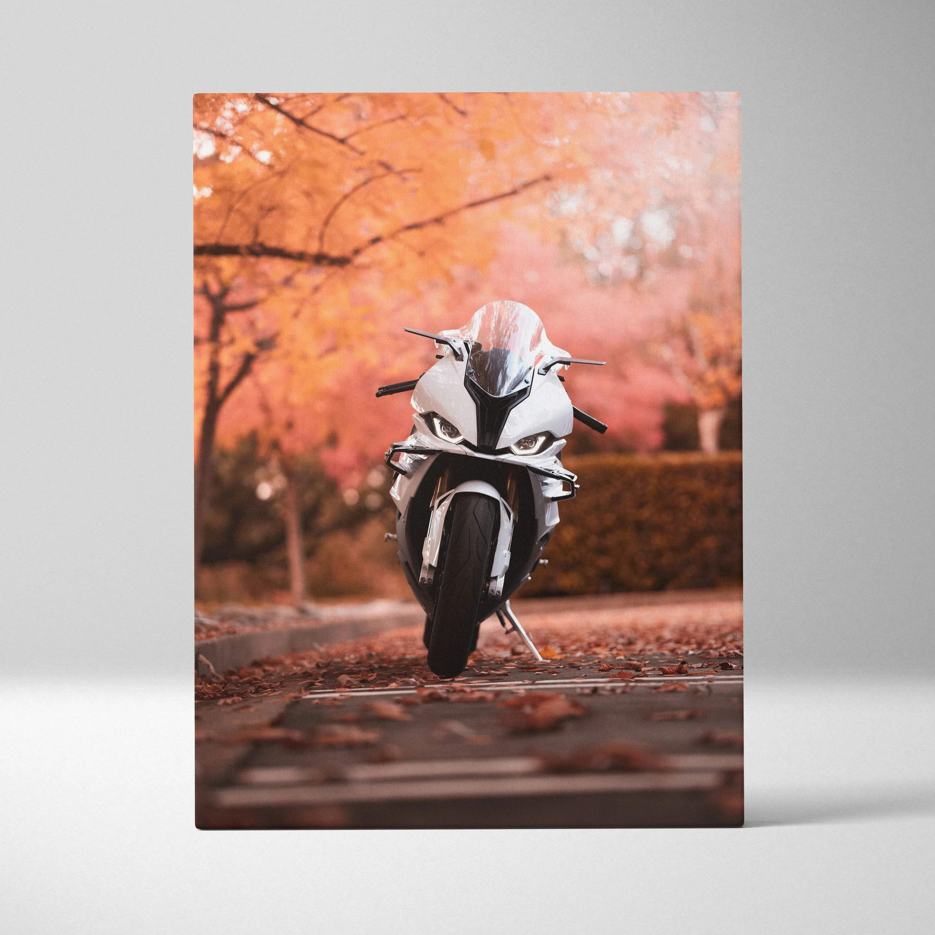 White BMW S1000RR motorcycle canvas art with autumn leaves background vertical wall art.