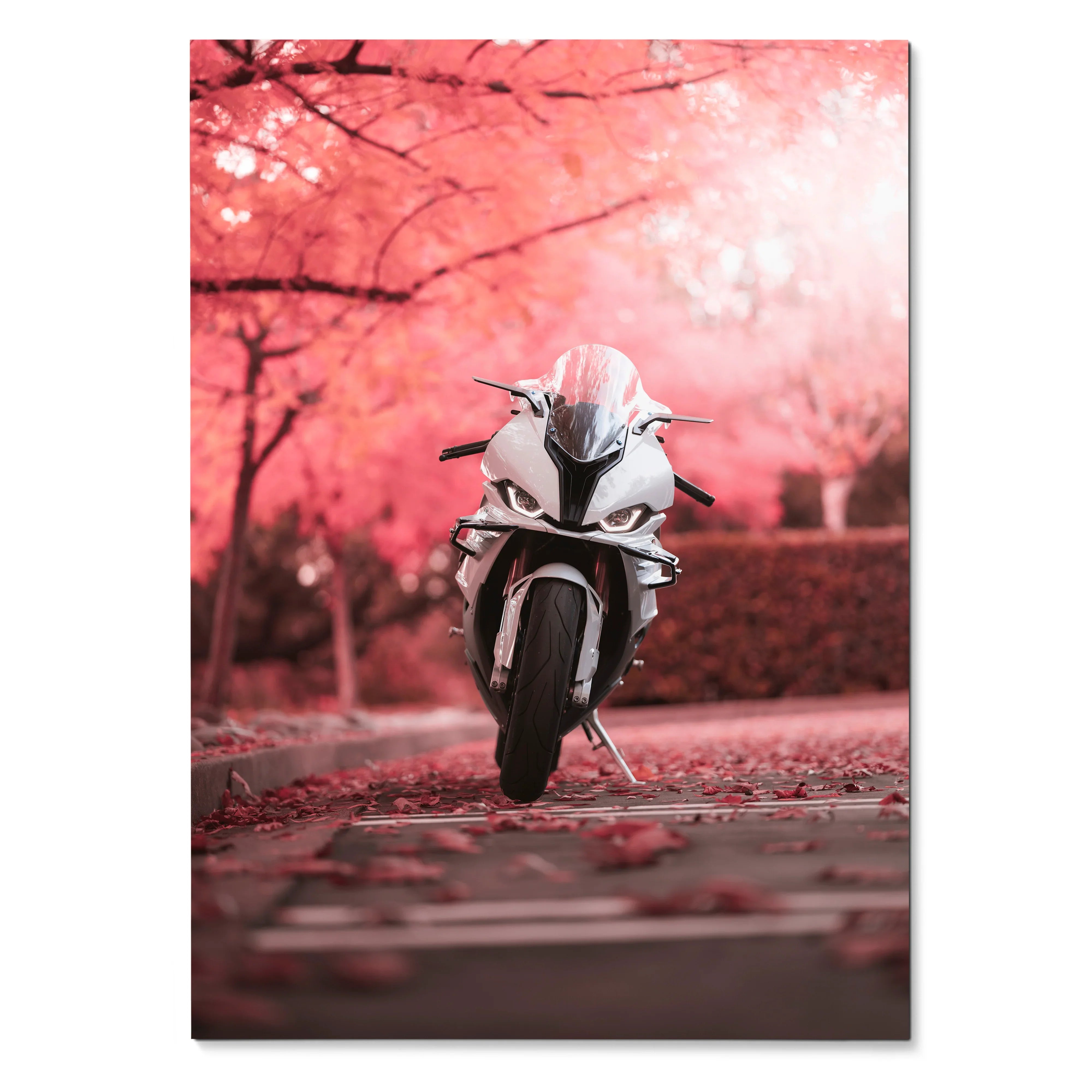 BMW S1000RR motorcycle poster with pink-toned cherry blossom background wall art.