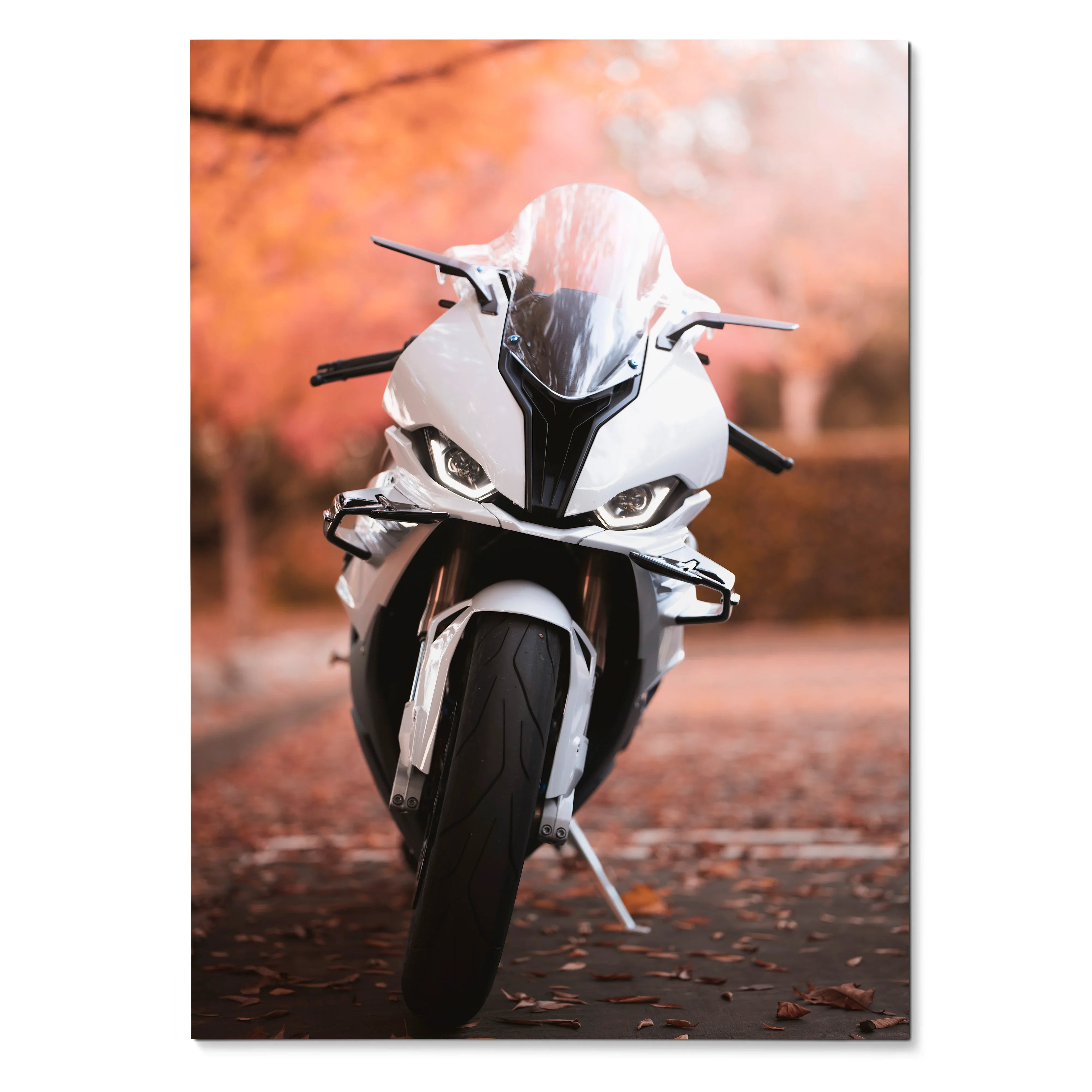 BMW S1000RR motorcycle front view against autumn background poster wall art.