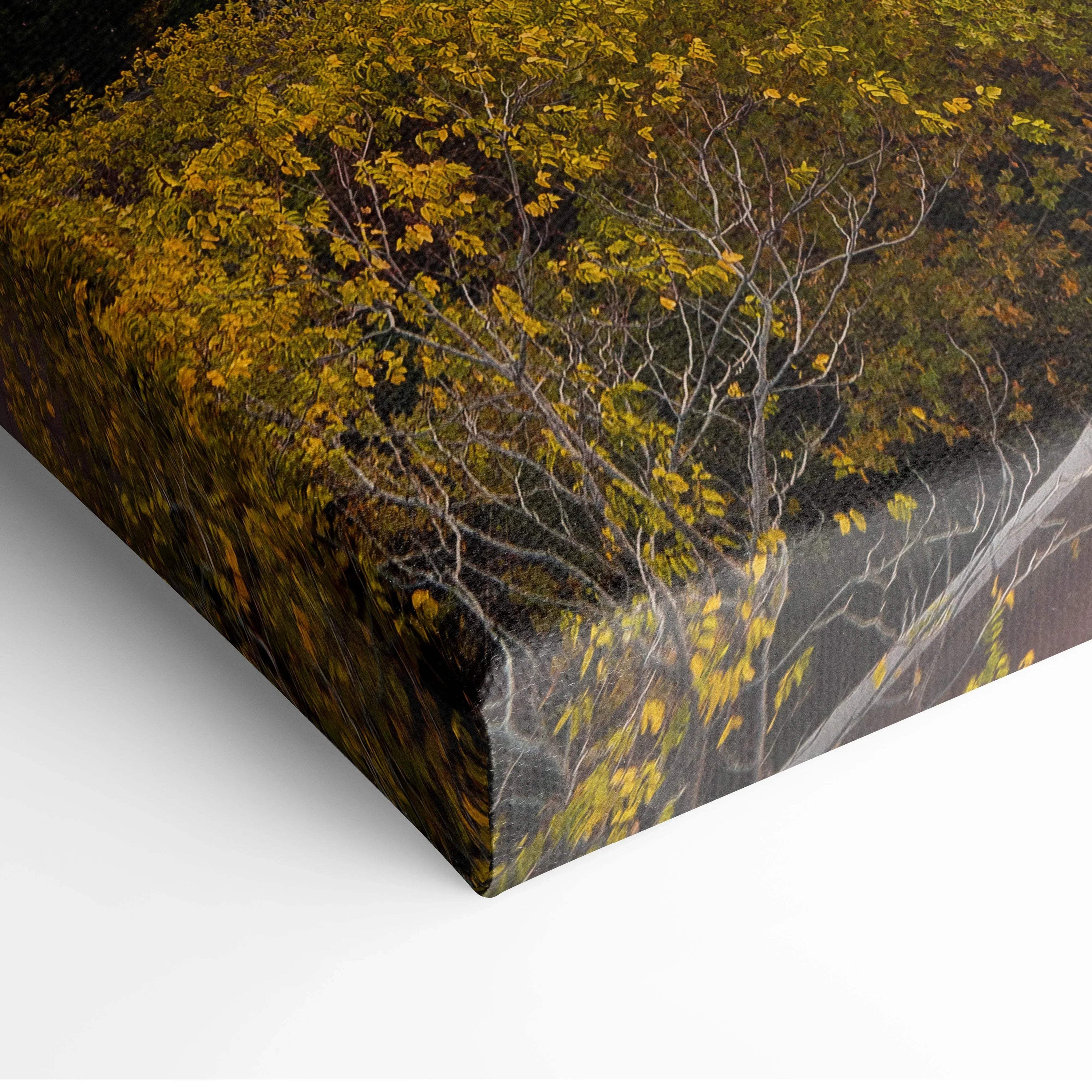 Canvas wall art featuring dense autumn trees with yellow and green foliage in digital art style.