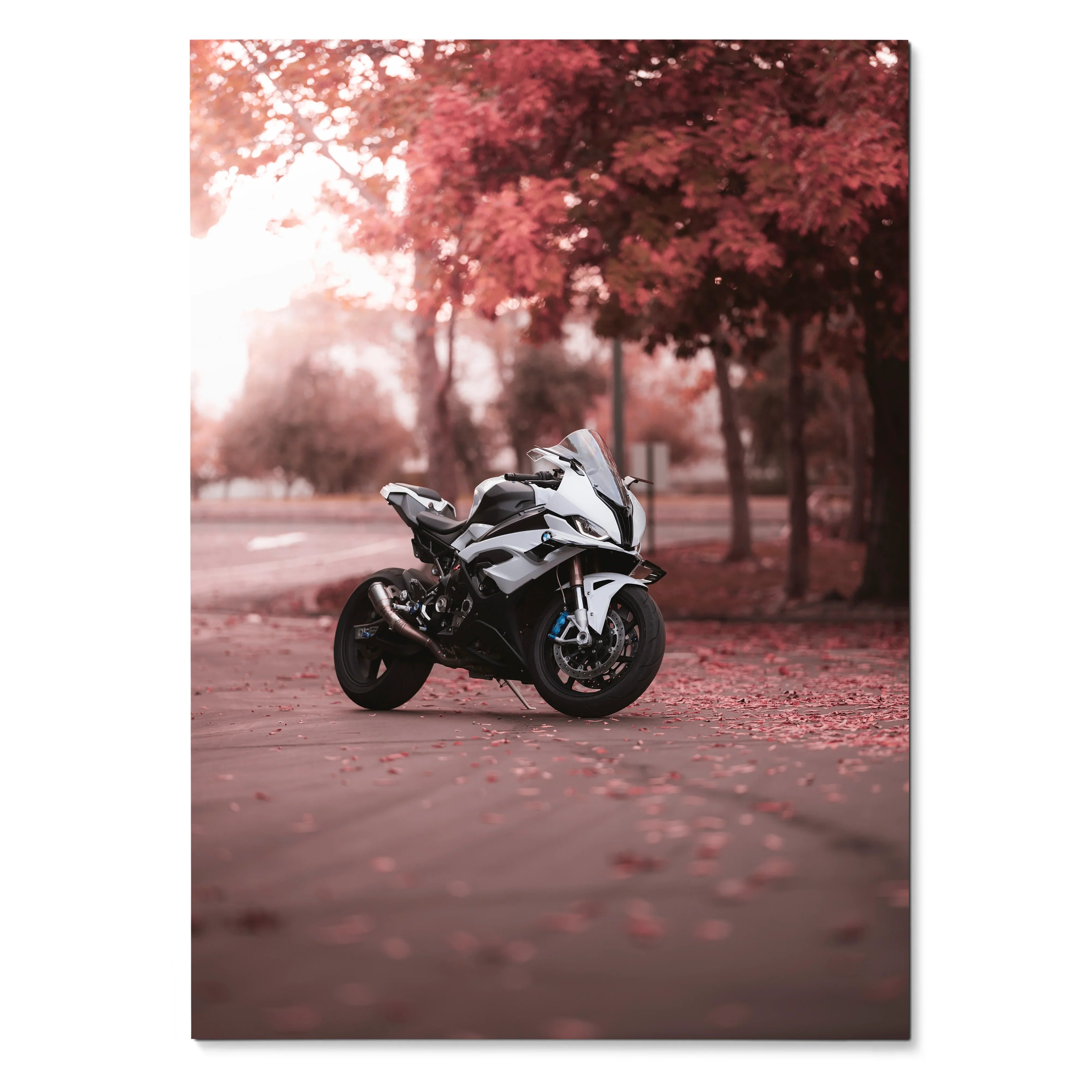 BMW S1000RR motorcycle poster with artistic autumn background, stylish wall art in warm tones.