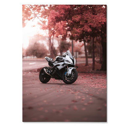 BMW S1000RR motorcycle poster with artistic autumn background, stylish wall art in warm tones.