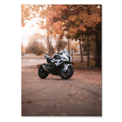 BMW S1000RR motorcycle poster with autumn trees and fallen leaves wall art in warm tones.