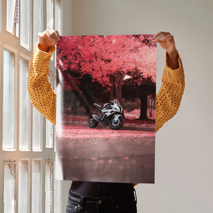 Poster featuring a BMW S1000RR motorcycle under red autumn trees for stylish wall art.
