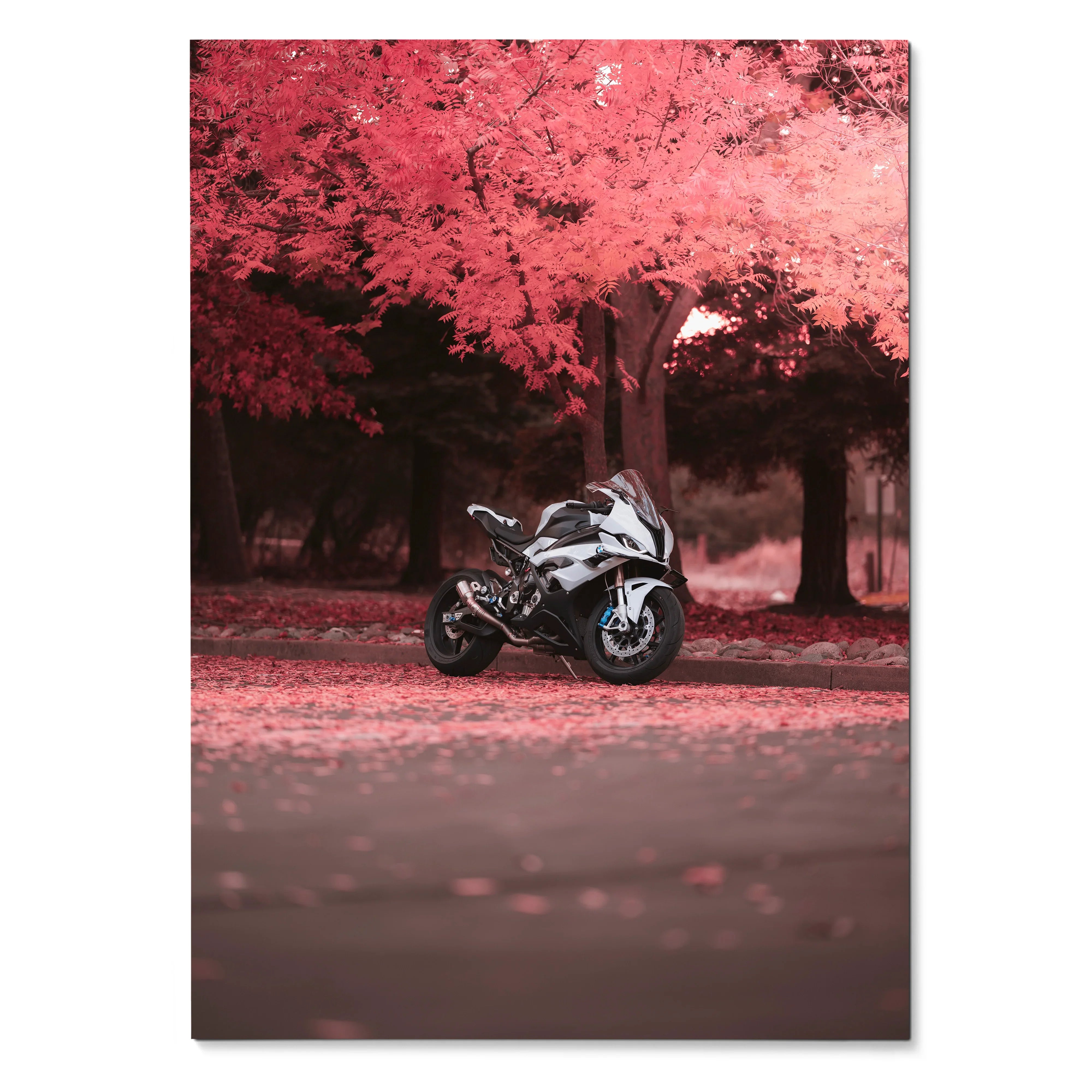 BMW S1000RR motorcycle poster with white bike under vibrant pink autumn trees wall art.