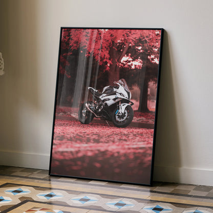 BMW S1000RR motorcycle poster with red autumn leaves background wall art in black frame.