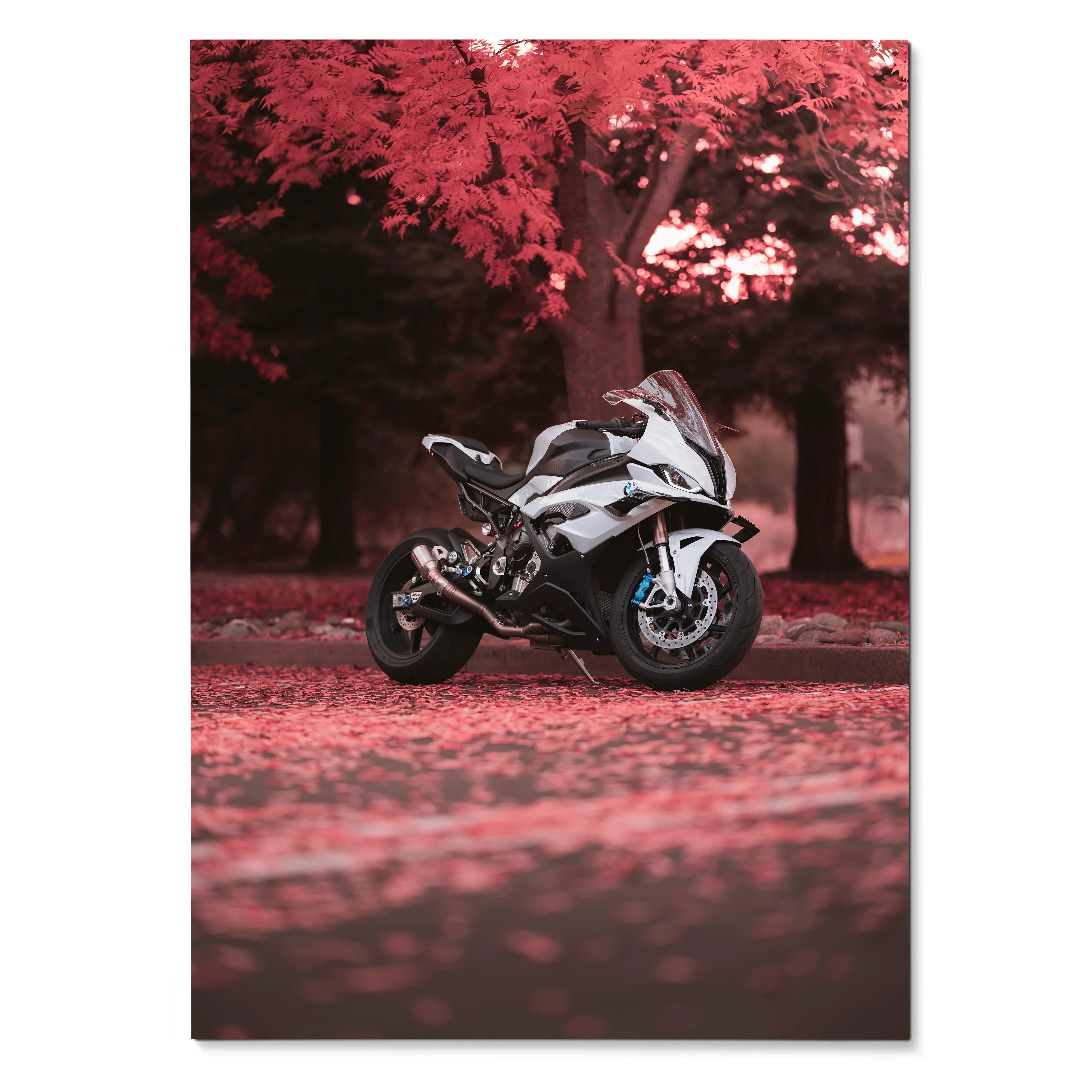 BMW S1000RR motorcycle poster with white bike and red forest background wall art.