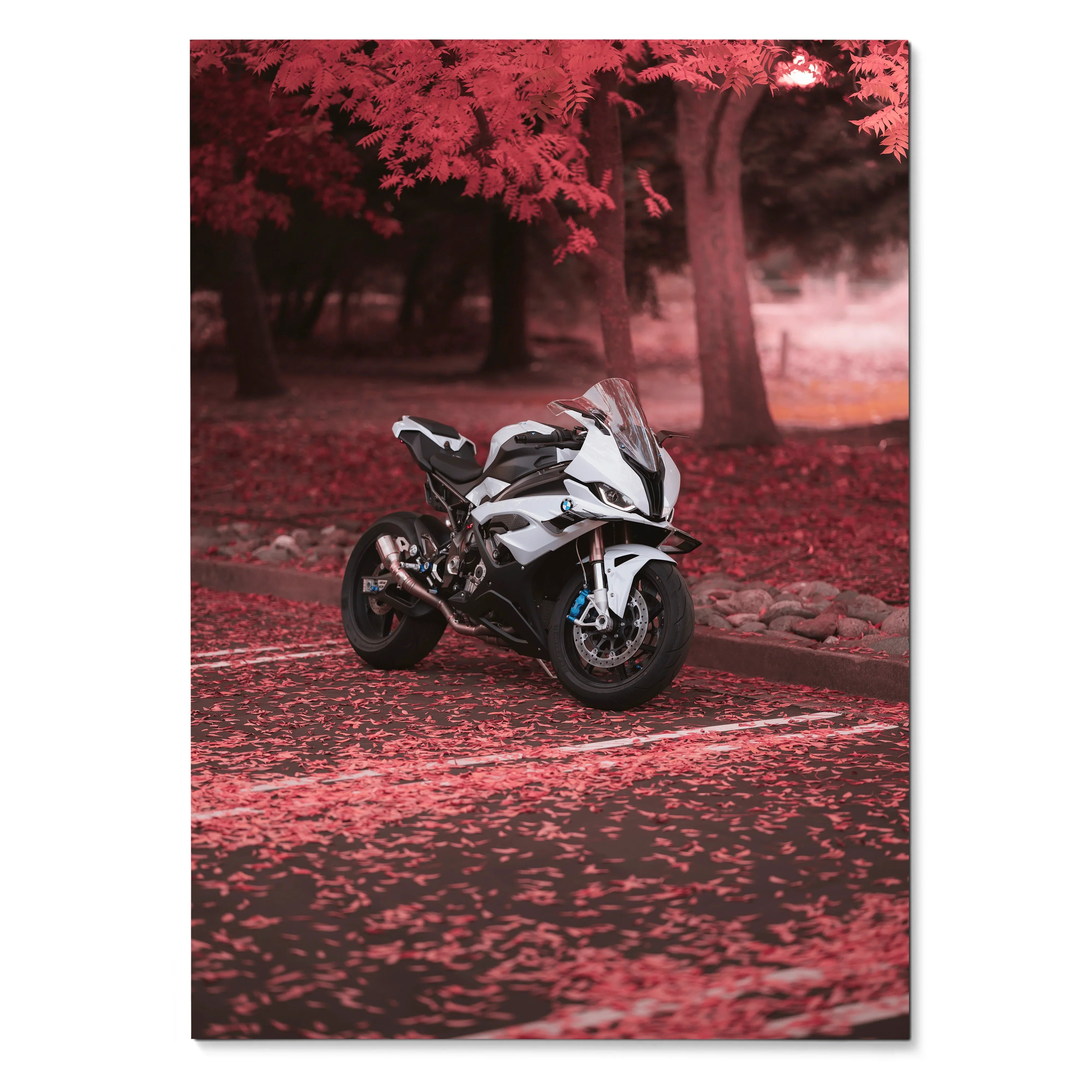 BMW S1000RR motorcycle poster with black and white bike on red autumn forest road wall art.