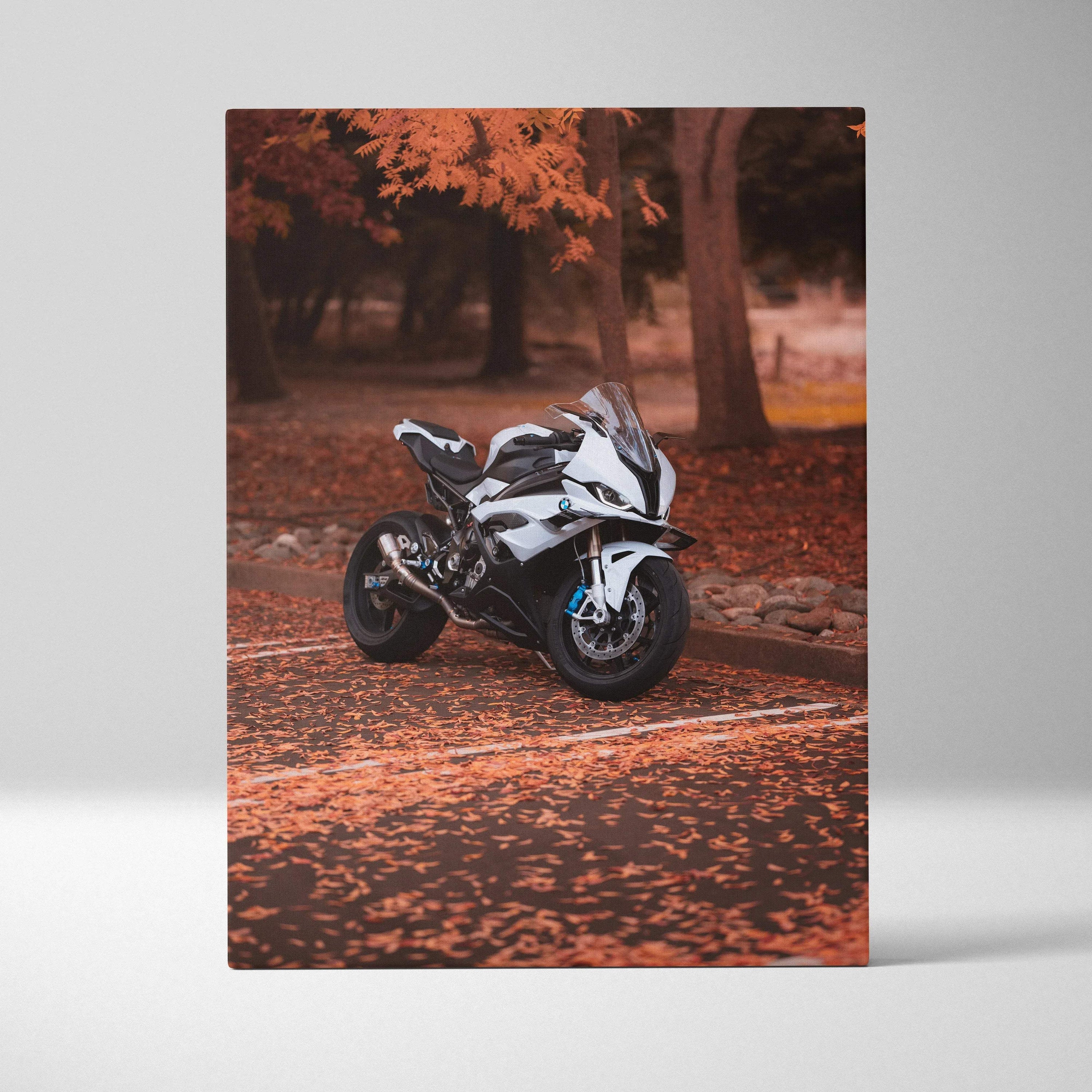 BMW S1000RR motorcycle in autumn setting on high-resolution vertical canvas wall art.
