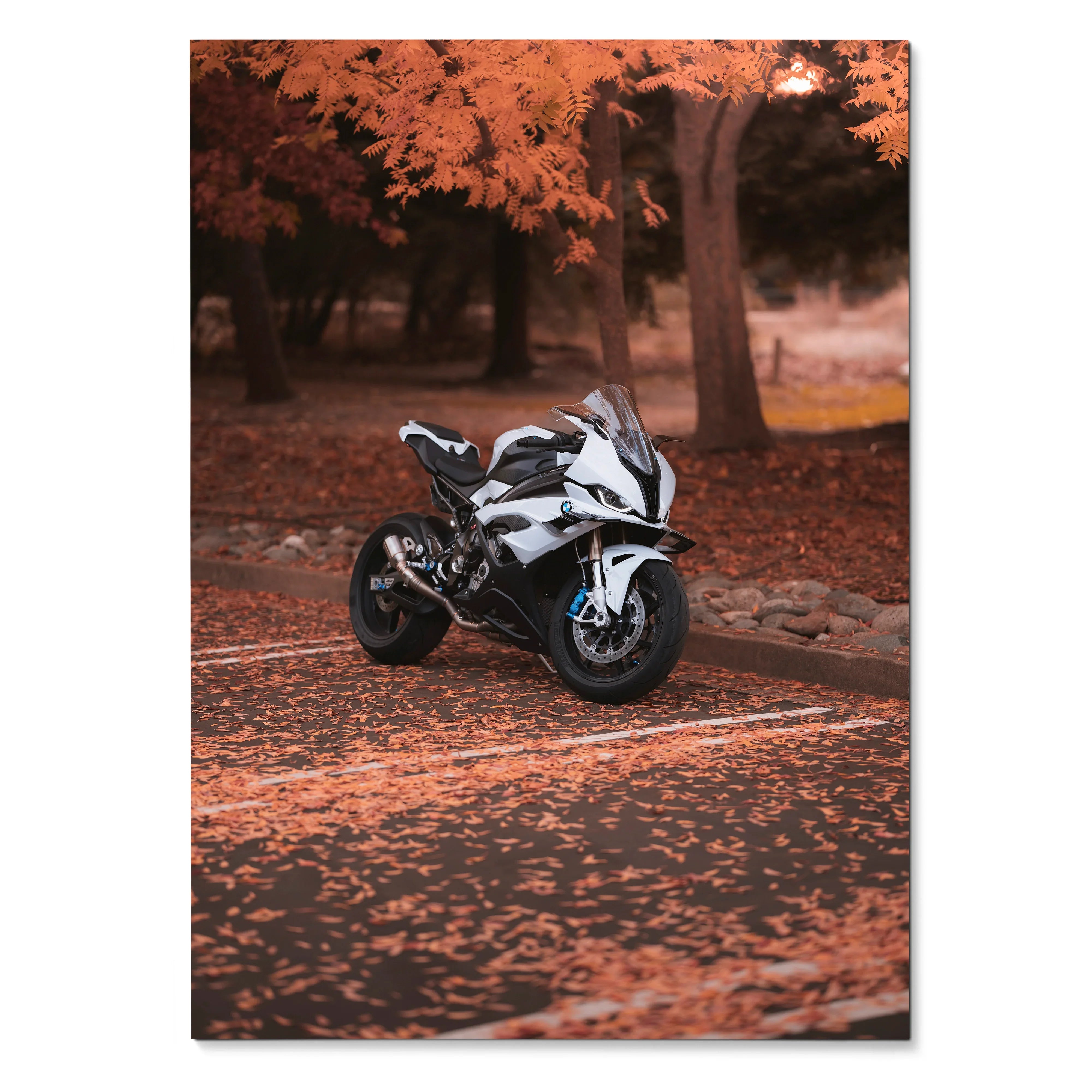 BMW S1000RR motorcycle in autumn forest setting poster wall art with orange leaves background.