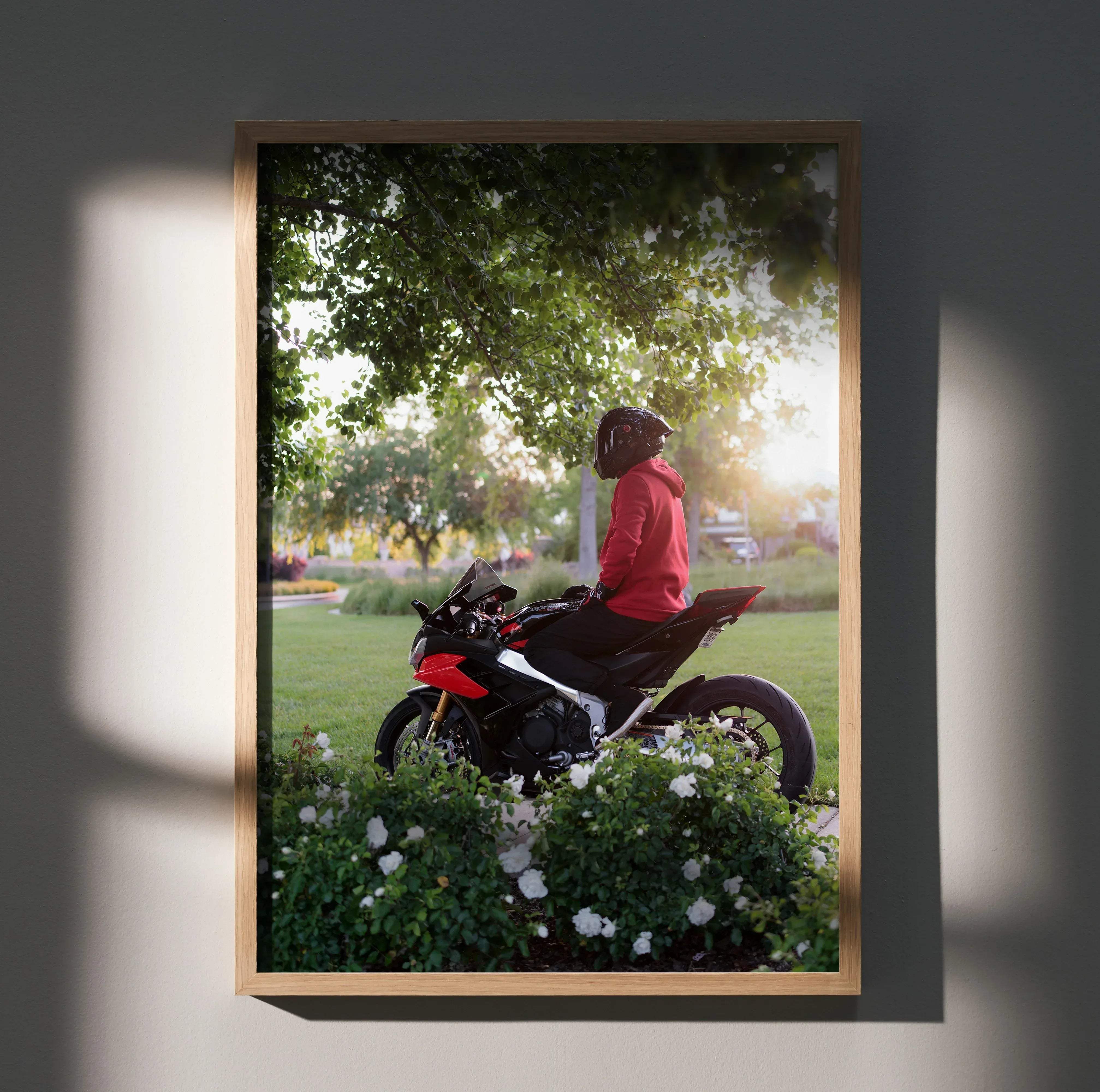 A framed biker poster featuring a red and black Aprilia RSV4 motorcycle with a male rider wearing a Shark Aeron GP helmet