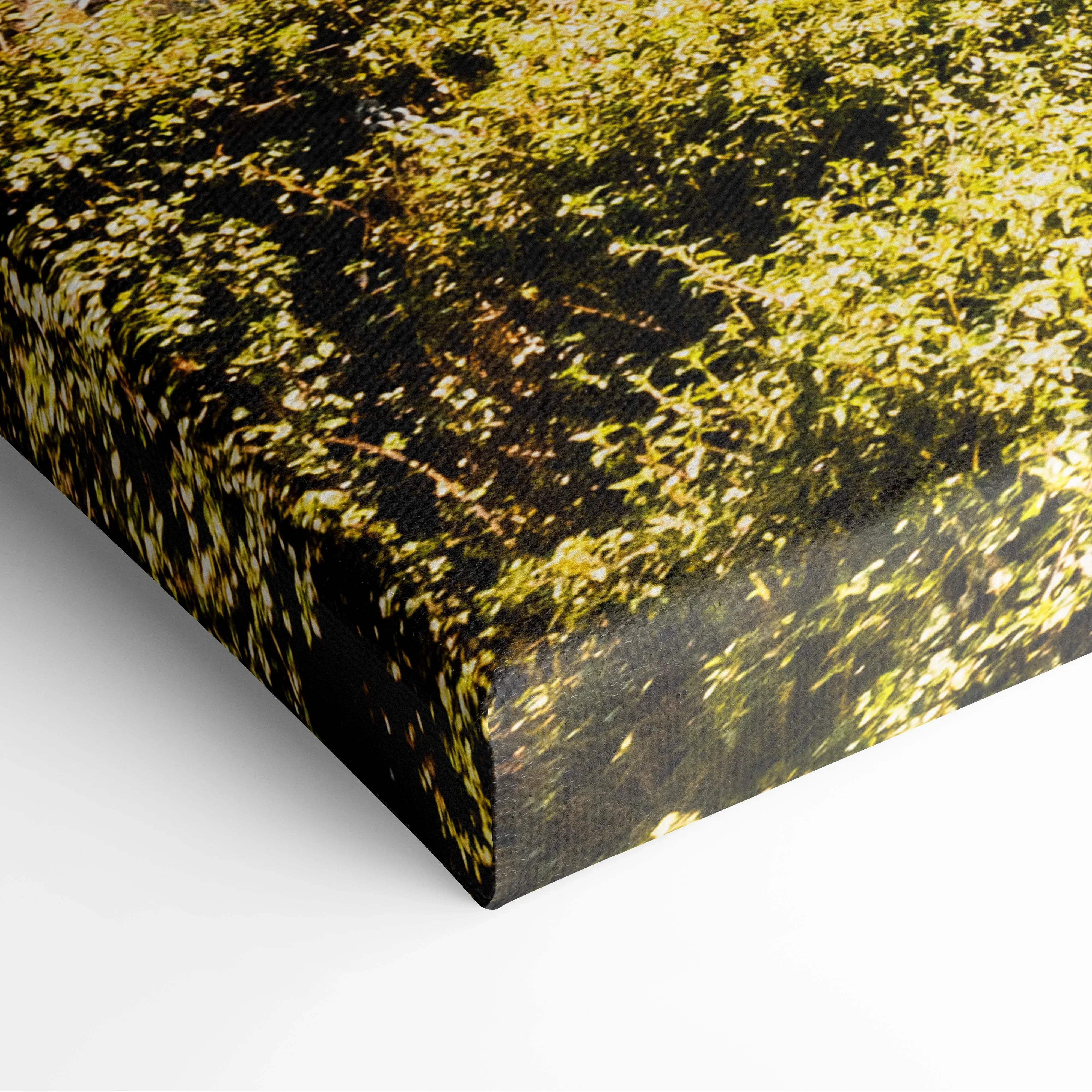 Canvas print showing dense forest with vibrant green foliage and sunlight for mediterranean harbor town wall art