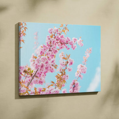 Canvas wall art featuring vibrant pink flowers against a bright blue sky, elegant home decor.
