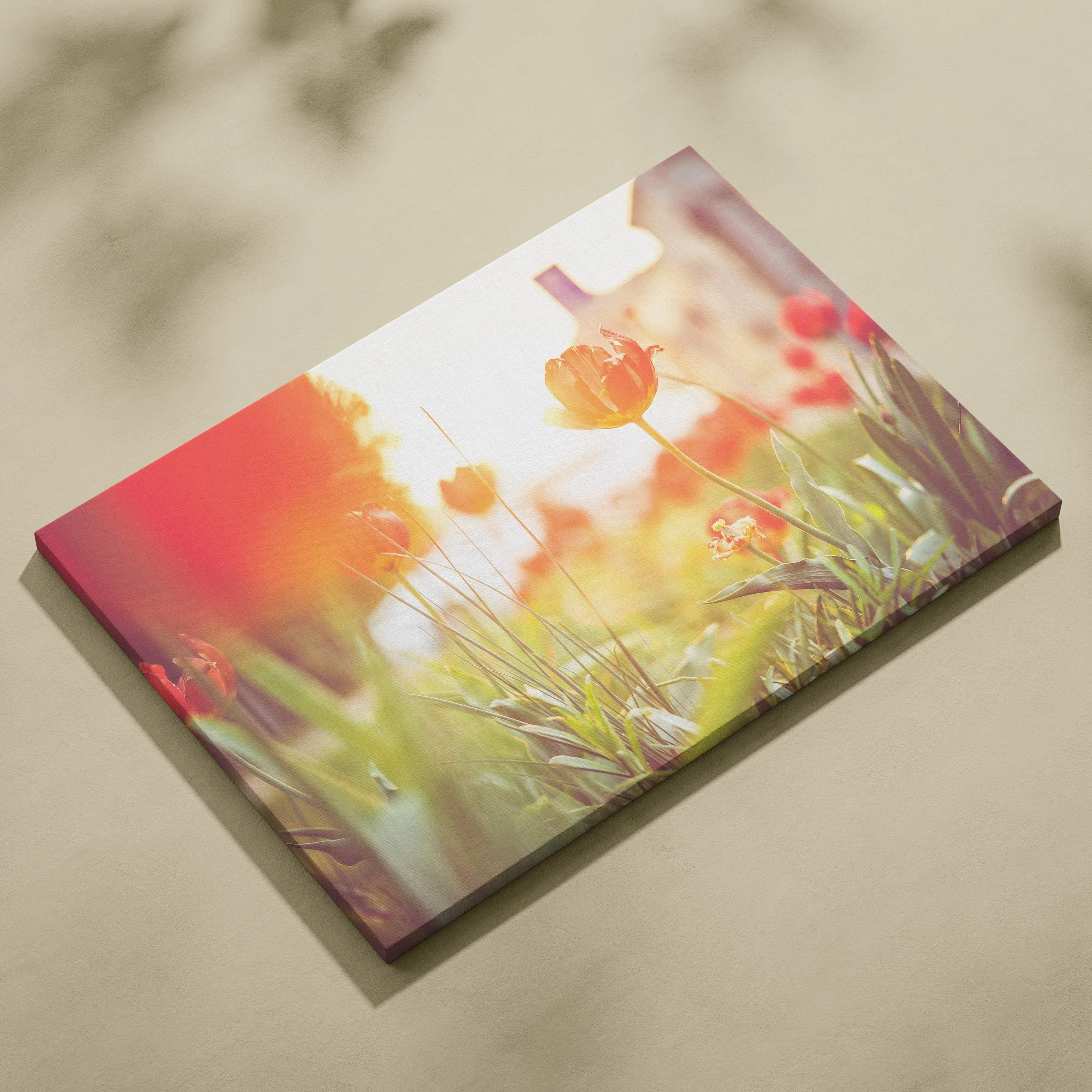 Vivid red tulips floral canvas wall art print with bright sunlight and green grass decor.