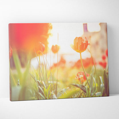 Vivid red tulips with sunlight backdrop on canvas wall art print for home decor.