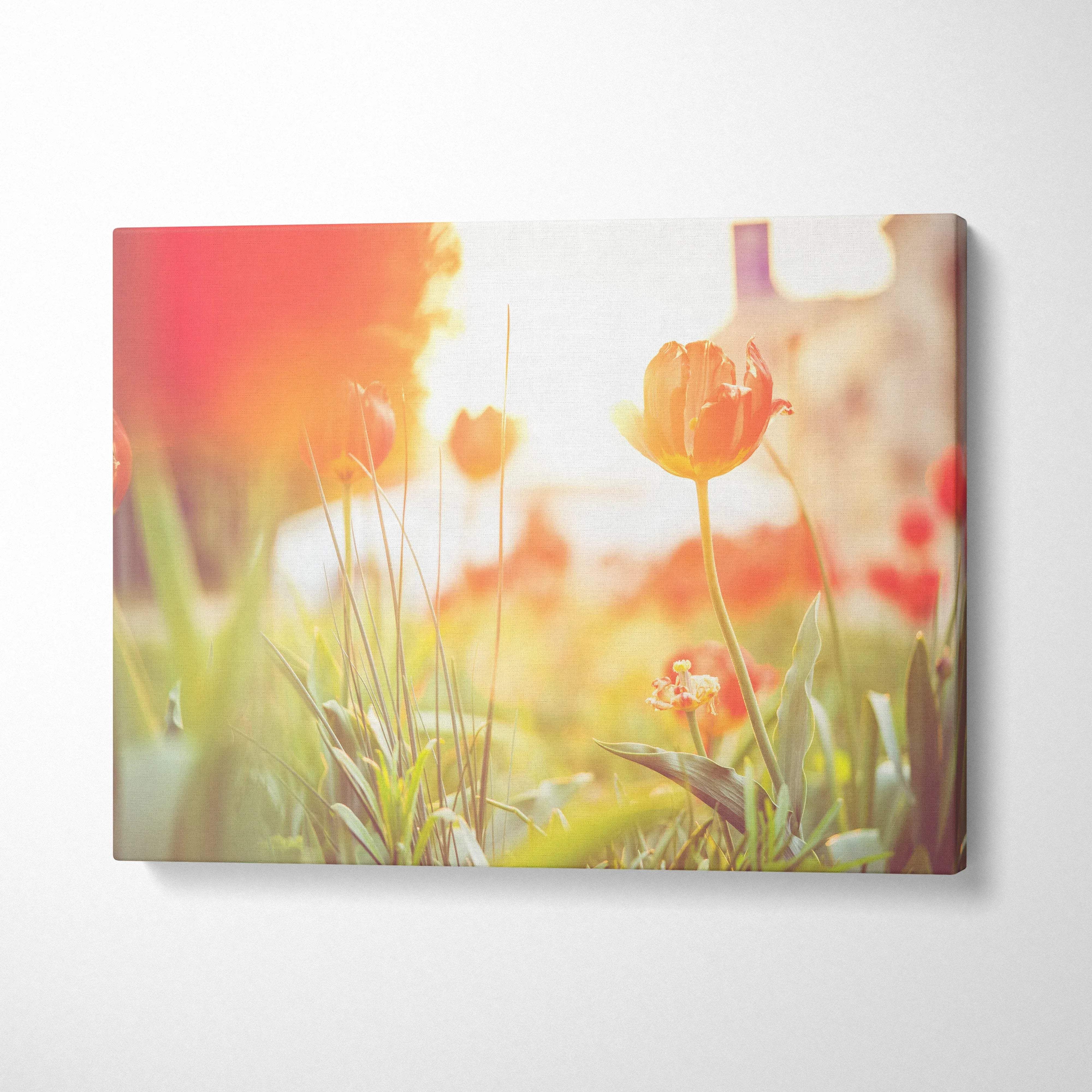 Vivid red tulips in sunlight on canvas wall art with soft floral decor tones.