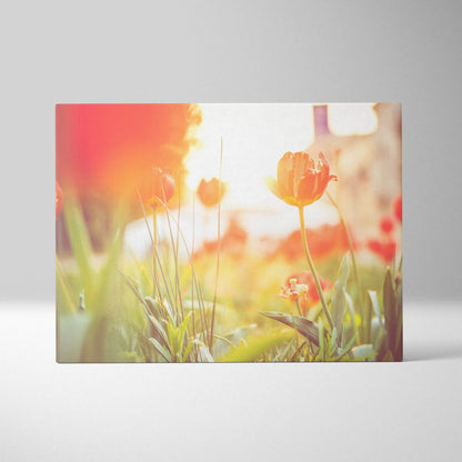 Vivid red tulips with soft sunlight glow on canvas wall art decor in warm tones.