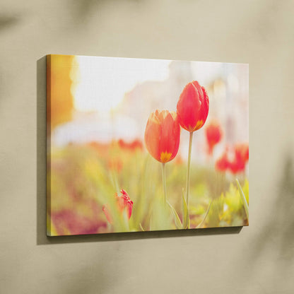 Red tulips canvas wall art with soft focus and warm sunlight, elegant floral decor.